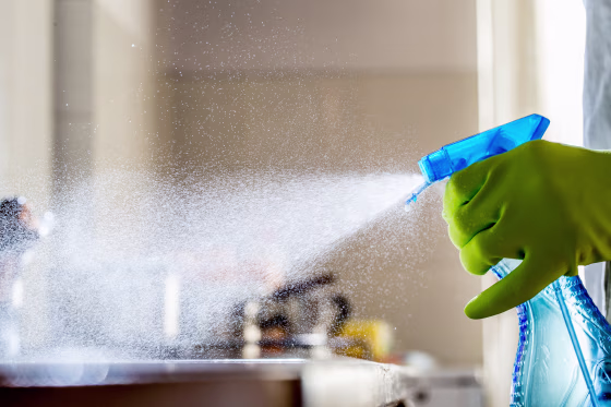 Spraying Cleaning Product on the Kitchen Counter