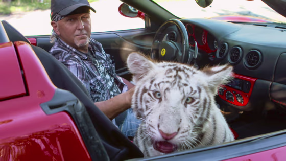 Image: Tiger King