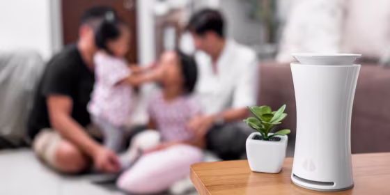 air quality monitor in home. Doctors weigh in on the best air quality monitors for smoke following the west coast wildfires, and are in stock and ready to ship on Amazon, Apple, Best Buy, Lowe's and more.