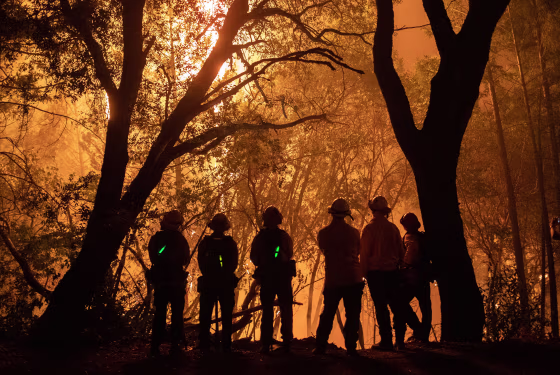 Image: Firefighters take defensive stance after firing operation to control Glass Fire in Calistoga, California