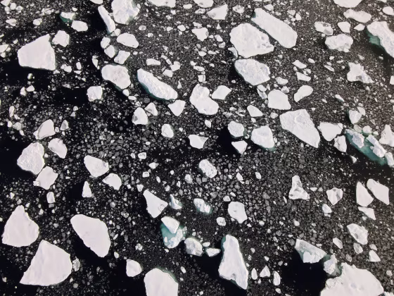 Image: An aerial view of floating ice taken by a drone launched from Greenpeace's Arctic Sunrise ship in the Arctic Ocean
