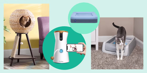 Wayfair; Casper; Furbo; PetSafe