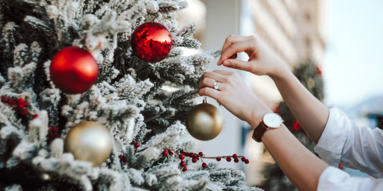 Christmas decor under $25 SQUARE