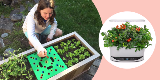 Seeding Square, AeroGarden Bounty with Gourmet Herbs Seed Pod Kit.