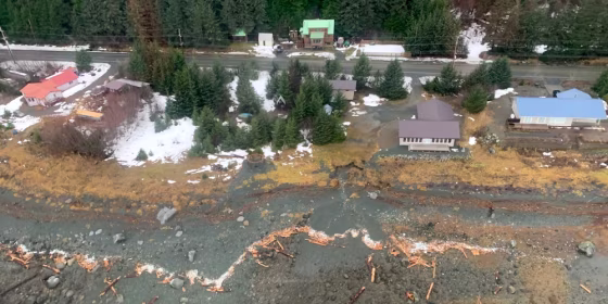 Image: Aerial view of Haines, Alaska