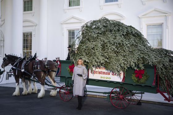 Image: Melania Trump