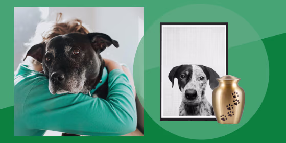 Not sure what to gift a loved one who lost a pet? Here are nine touching gift ideas to help celebrate the life of beloved pets.