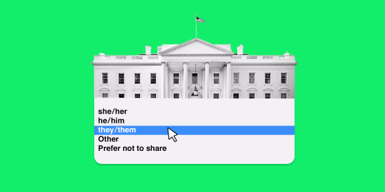 Image: Illustration showing a drop down menu opening from the White House. The drop down menu shows pronoun options, with \"they / them\" highlighted in blue.