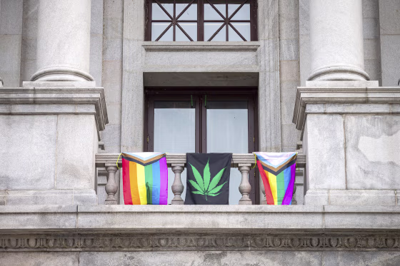 Image: LGBTQ flags and weed flag