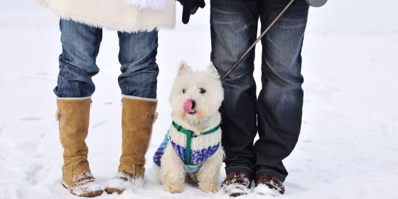 Young couple together outdoors in the snow.