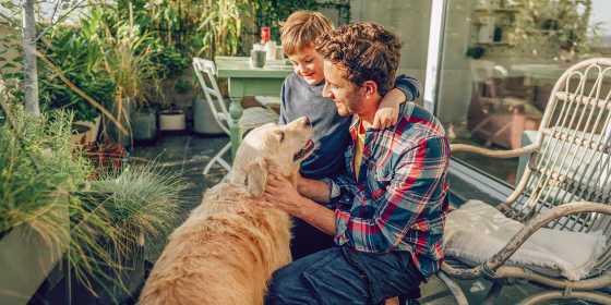 April 11th celebrates the joy that pets bring people's lives along with increasing awareness to the number of animals in shelters. 
