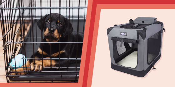 Illustration of a puppy in a crate and the Elitefield dog crate in grey