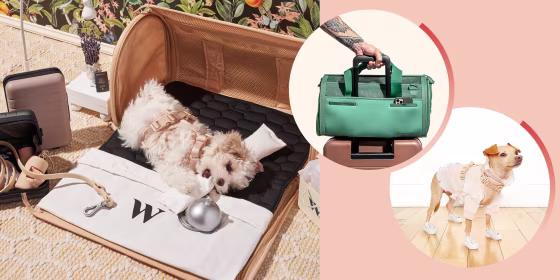 Illustration of a dog wearing a pink Wild One harness for under 10 pound dogs, a man wheeling the Spruce Travel Carrier in Green on his suitcase and Boobie Blillie the small dog wearing a harness