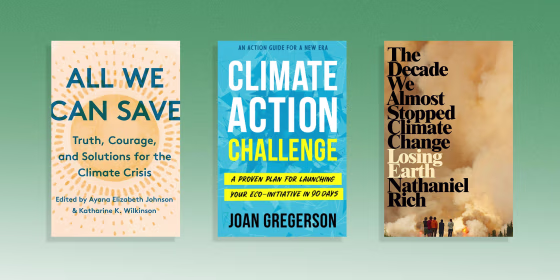 Illustration of three different climate books, All We Can Save, Climate Action and Losing Earth: The Decade We Could Have Stopped Climate Change. Read a climate change book and learn about environmental issues this Earth Day. The best climate change books