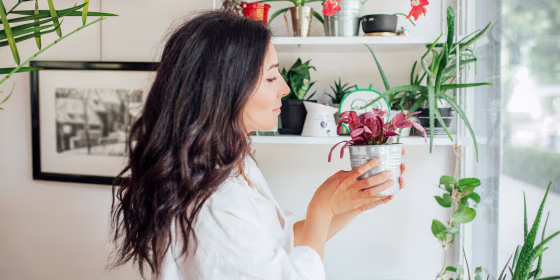 Young woman watering potted plants in her home