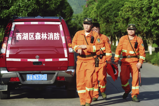 Image: Workers take part in a search for a runaway leopard in Hangzhou in eastern China's Zhejiang province