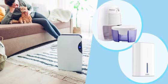 Illustration of a Dehumidifier with touch panel at home, while woman plays with cat, a Pure Enrichment PureDry Mini Dehumidifier and the Pro Breeze Electric Mini Dehumidifier