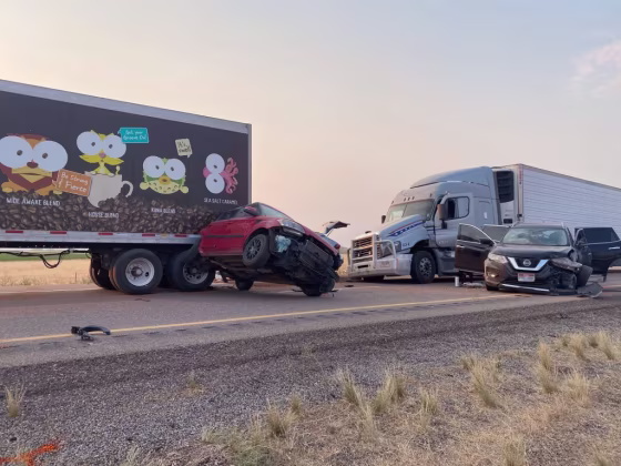 Utah sandstorm crashes kill six.