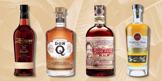 Illustration of four different rum bottles on a tropical palm background