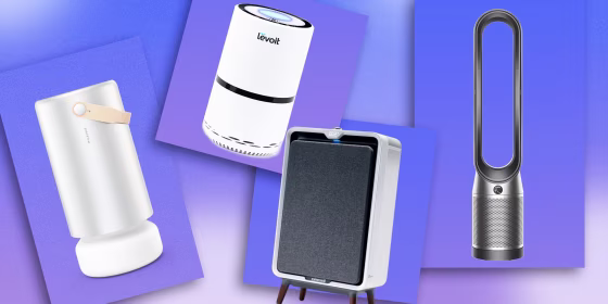 Illustration of the Dyson Purifier Cool, Bissell air320 Max Air Purifier, Levoit LV-H132 Air Purifier and the Molekule Air Pro Air Purifier