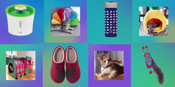 Cat Gifts