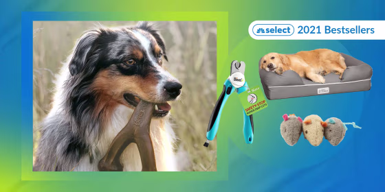 In 2021, Select readers bought nail trimmers, beds, toys and more for their pets.