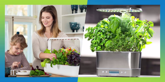 We recommended several herb gardens using expert guidance and researched which herbs are best for your indoor garden. 