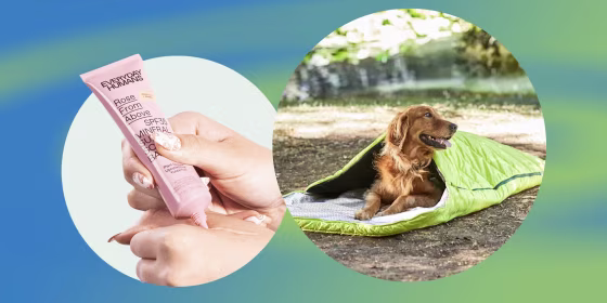 Woman rubbing Rose from Above sunscreen base on her hand and a dog in a yellow sleeping bag outside