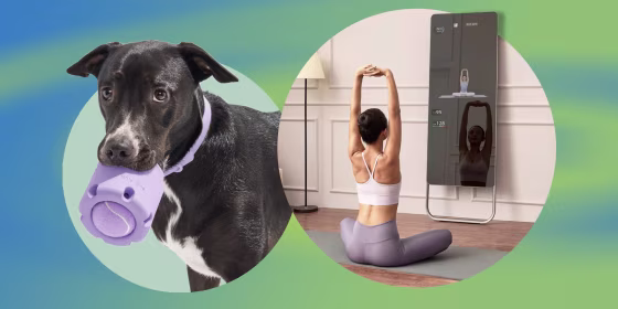 Dog holding a purple Wild One dog toy from Target-exclusives and a Woman stretching in front of a FITURE Mirror