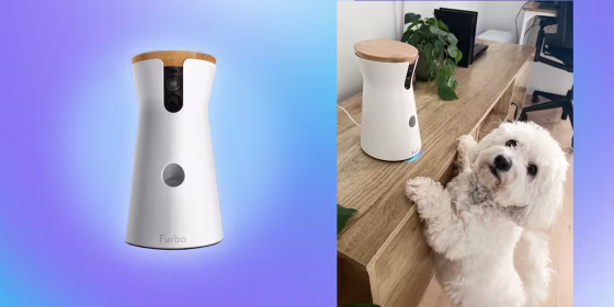 The Furbo is a staff favorite for watching after — and rewarding — pets when you’re away from home.