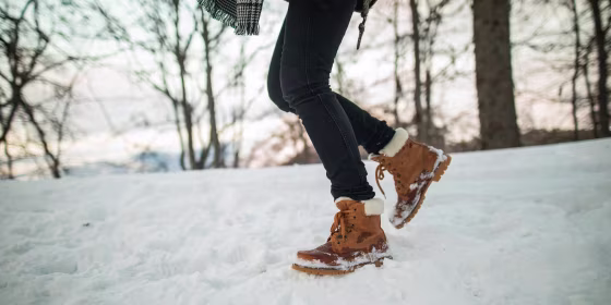 Snowshoes