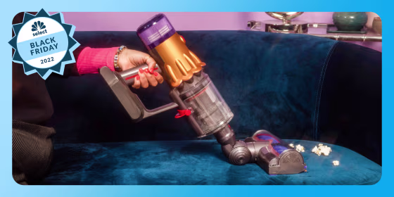 Dyson on a couch