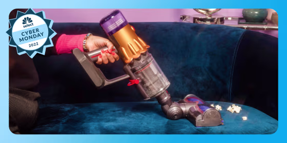 Dyson vacuuming a couch