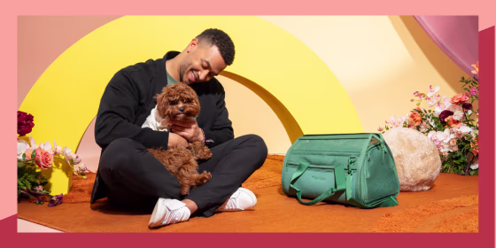 If you’re looking for Valentine’s Day gifts for pets, consider options like toys, beds and treats.