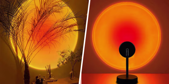 Two Sun Lamps from Amazon