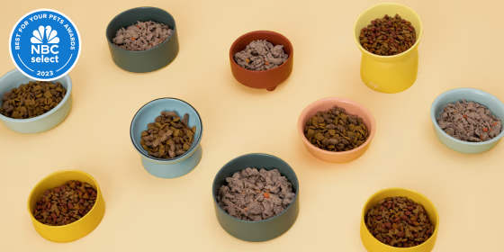 Our 10 winners include food recommended directly from veterinarians and food accessories, including bowls and treat dispensers, that made our lives (and our pets’ lives) easier.