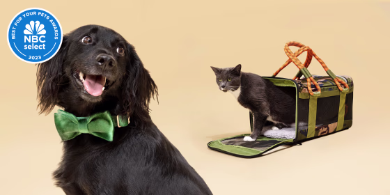 Learn more about how we chose our winners for the Select Best for Your Pet Awards 2023.