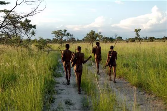 Bushmen, indigenous hunter-gatherers, of southern Africa walk in the Namibian Bush
