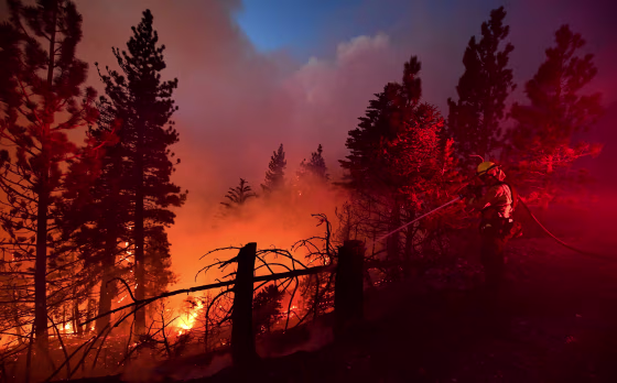 Image: Bobcat Fire