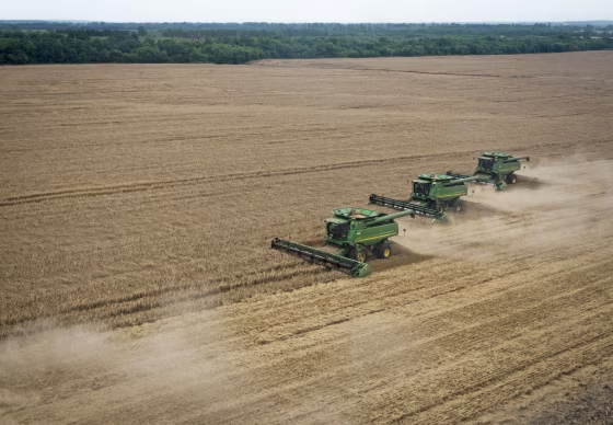 Image: Combine harvesters drive across a wheat field during a summer harvest in Poltava region, Ukraine, on July 18, 2014.