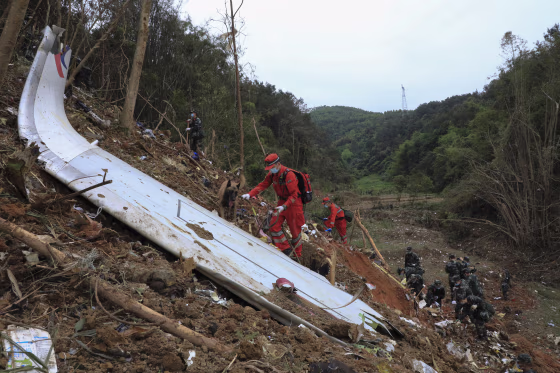 Emergency workers using sniffer dogs conduct a search for the black box at the China Eastern flight crash site earlier this week.