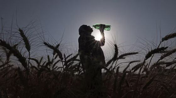 KASHMIR-JAMMU-HARVEST-HEAT WAVE
