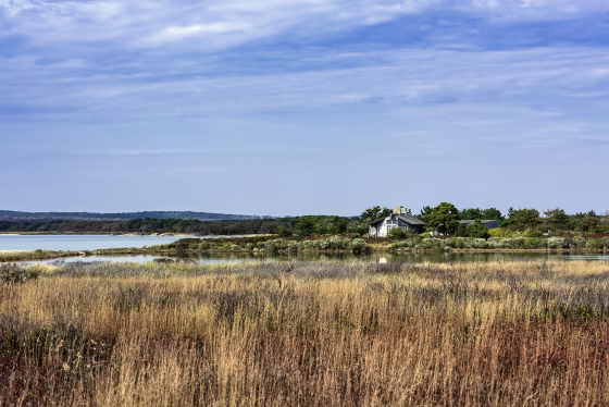 Tisbury Great Pond on Martha's Vineyard, Mass. 