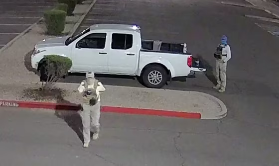 Armed individuals dressed in tactical gear at the site of a ballot drop box in Mesa, Ariz., on Oct. 21, 2022.