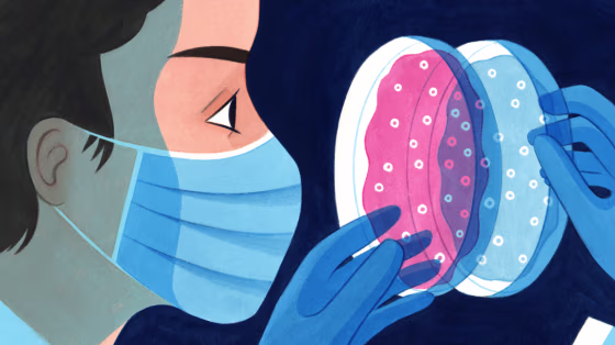 Illustration of a medical researcher in a mask comparing two different petri dishes containing cultures.