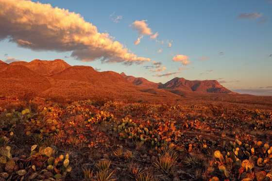 Castner Range at Sunrise