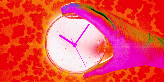 Photo Illustration: A hand in a latex glove holds a petri dish, which has clock hands inside