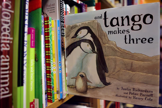 A copy of "And Tango Makes Three" on a bookshelf.