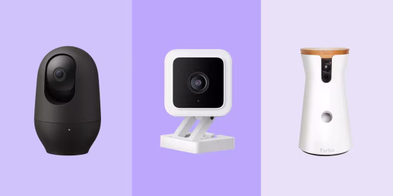 Experts warn against using pet cameras as a substitute for human affection and care.