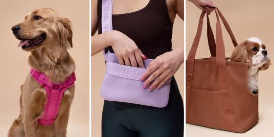 Wild One is disrupting the pet space with stylish and functional gear. Here are the products we think you’ll love most. 
